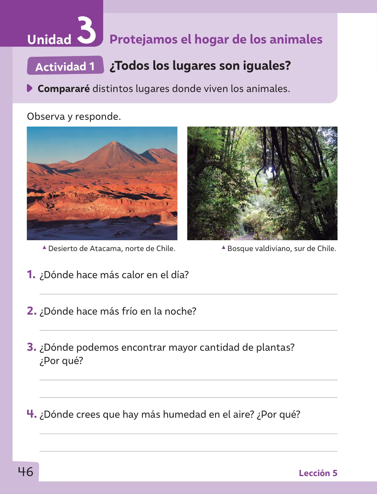 Miniatura página 47 de Ciencias Naturales – Segundo Básico | Texto del Estudiante MINEDUC – Descargar PDF · 2024