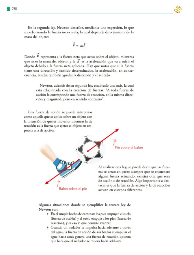 Página 289 de Colección Sk´asolil. Saberes y pensamiento científico. Libro de Educación Telesecundaria Grado 2° Ciclo Escolar 2025 - 2026