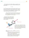 Miniatura página 289 de Colección Sk´asolil. Saberes y pensamiento científico.   Libro de Educación Telesecundaria Grado 2°  Ciclo Escolar 2025 - 2026