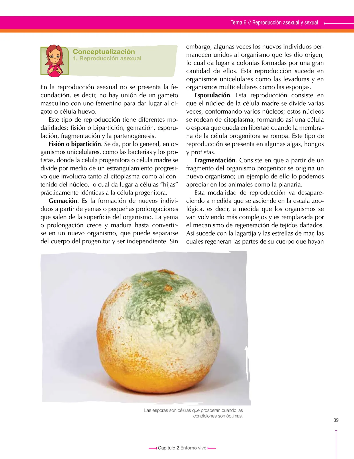 Página 39 de Ciencias Naturales 8° · Secundaria Activa