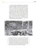 Miniatura página 224 de Colección Nanahuatzin. Ética, naturaleza y sociedades.   Libro de Educación Secundaria Grado 3°  Ciclo Escolar 2025 - 2026