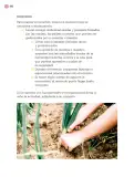 Miniatura página 193 de Proyectos Comunitarios.   Libro de Educación Primaria Grado 3°  Ciclo Escolar 2025 - 2026