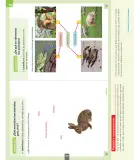 Miniatura página 110 de Ciencias Naturales – Primero Básico | Texto del Estudiante (MINEDUC) – Descargar PDF · 2024