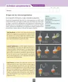 Miniatura página 73 de Ciencias Naturales – Séptimo Básico | Texto del Estudiante MINEDUC – Descargar PDF · 2024