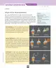 Miniatura página 73 de Ciencias Naturales – Séptimo Básico | Texto del Estudiante MINEDUC – Descargar PDF · 2024