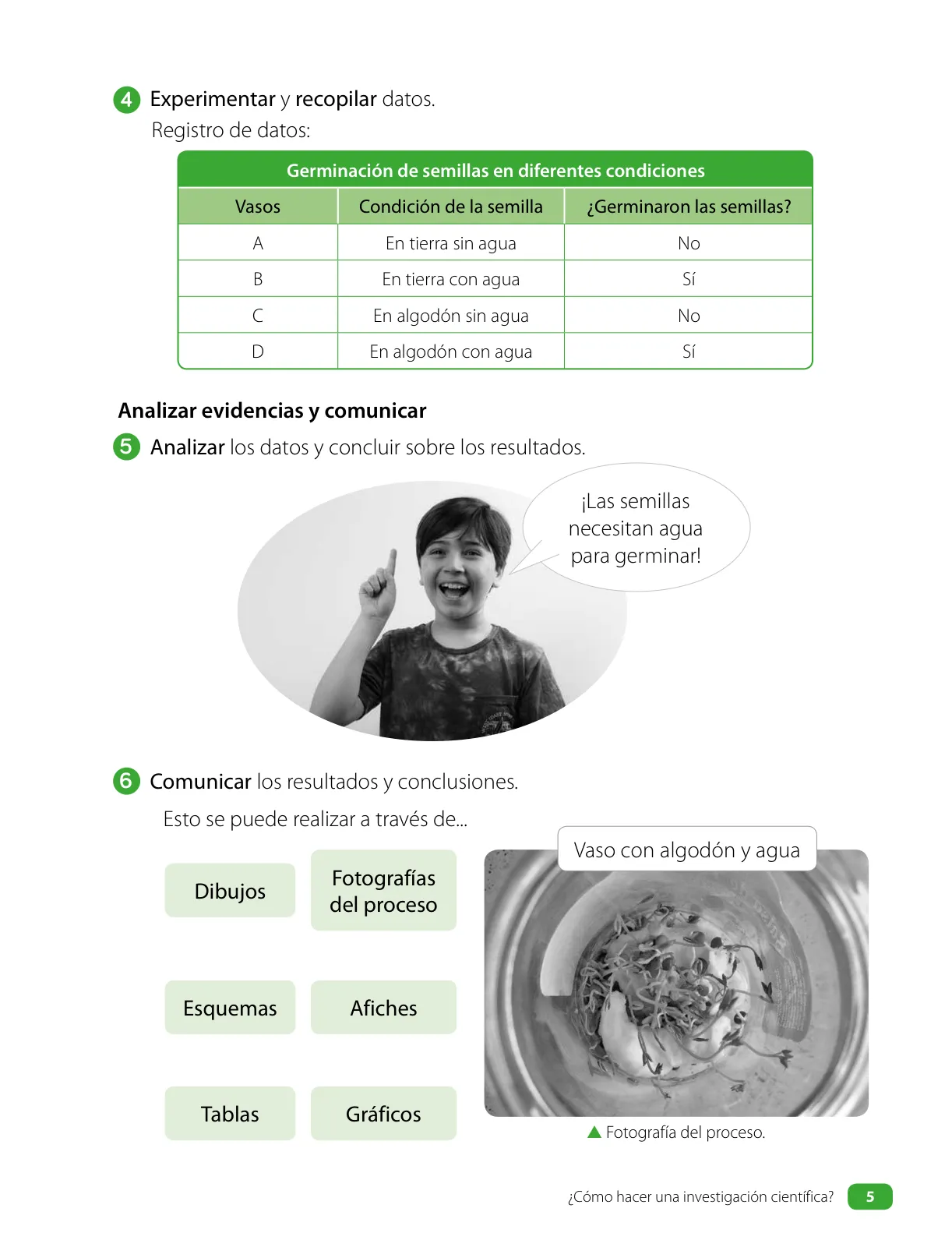 Miniatura página 7 de Ciencias Naturales – Tercero Básico | Texto del Estudiante MINEDUC – Descargar PDF · 2024