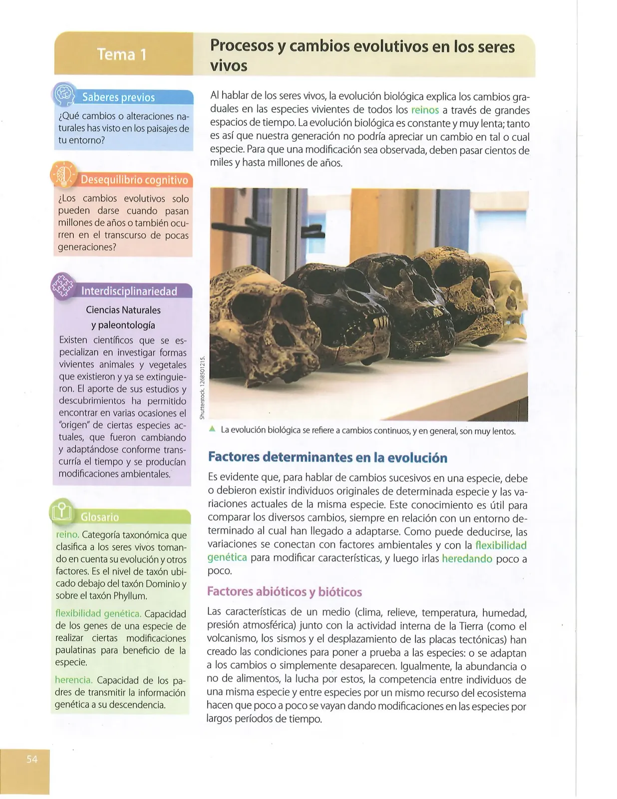 Miniatura página 51 de Ciencias Naturales · 10 EGB · 2024