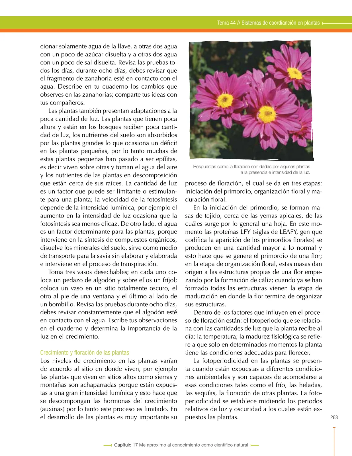 Miniatura página 263 de Ciencias Naturales 8° · Secundaria Activa