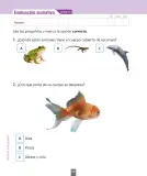 Miniatura página 183 de Ciencias Naturales – Primero Básico | Texto del Estudiante (MINEDUC) – Descargar PDF · 2024