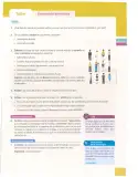 Miniatura página 216 de Estudios Sociales 9° · 2025