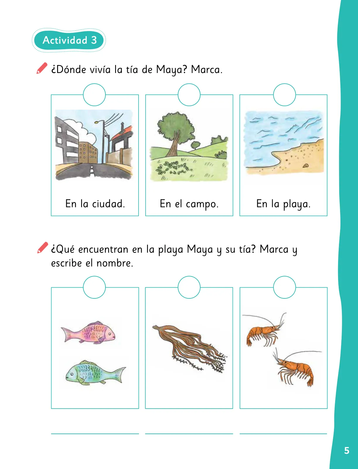Pág 8