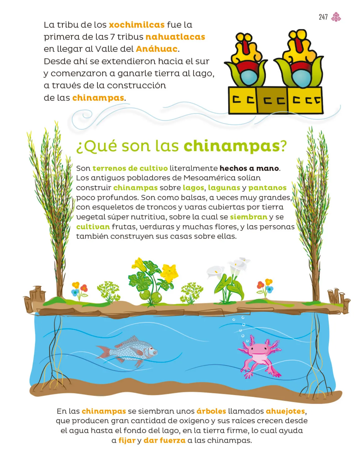 Página 248 de Múltiples lenguajes. Libro de Educación Primaria Grado 4° Ciclo Escolar 2025 - 2026