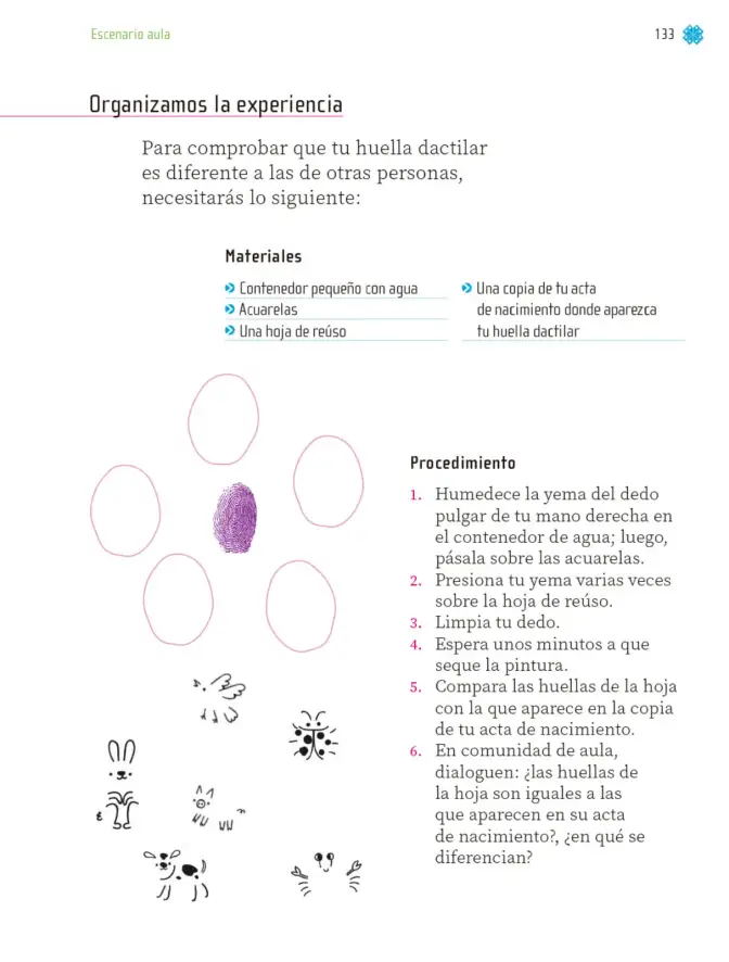 Página 134 de Proyectos de Aula. Libro de Educación Primaria Grado 1° Ciclo Escolar 2025 - 2026