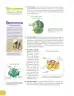 Miniatura página 33 de Ciencias Naturales 9° · 2025