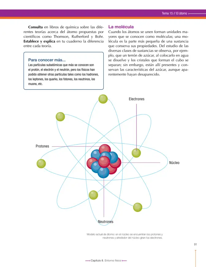 Página 91 de Ciencias Naturales 6° · Secundaria Activa