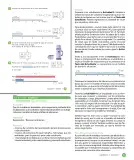 Miniatura página 65 de Sumo Primero – Quinto Básico | Texto del Estudiante MINEDUC – Descargar PDF · 2024