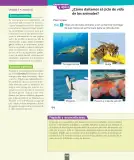 Miniatura página 159 de Ciencias Naturales – Segundo Básico | Texto del Estudiante MINEDUC – Descargar PDF · 2024