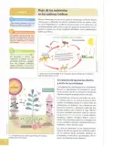 Miniatura página 93 de Ciencias Naturales 8° · Egb 8 Ciencias Naturales 2025 · 2025