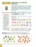 Miniatura página 95 de Matematica 2° · Egb 2 Matematica 2025 · 2025