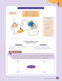Miniatura página 175 de Libro de Ciencias Naturales – Quinto Básico | Texto del Estudiante MINEDUC – Descargar PDF · 2024