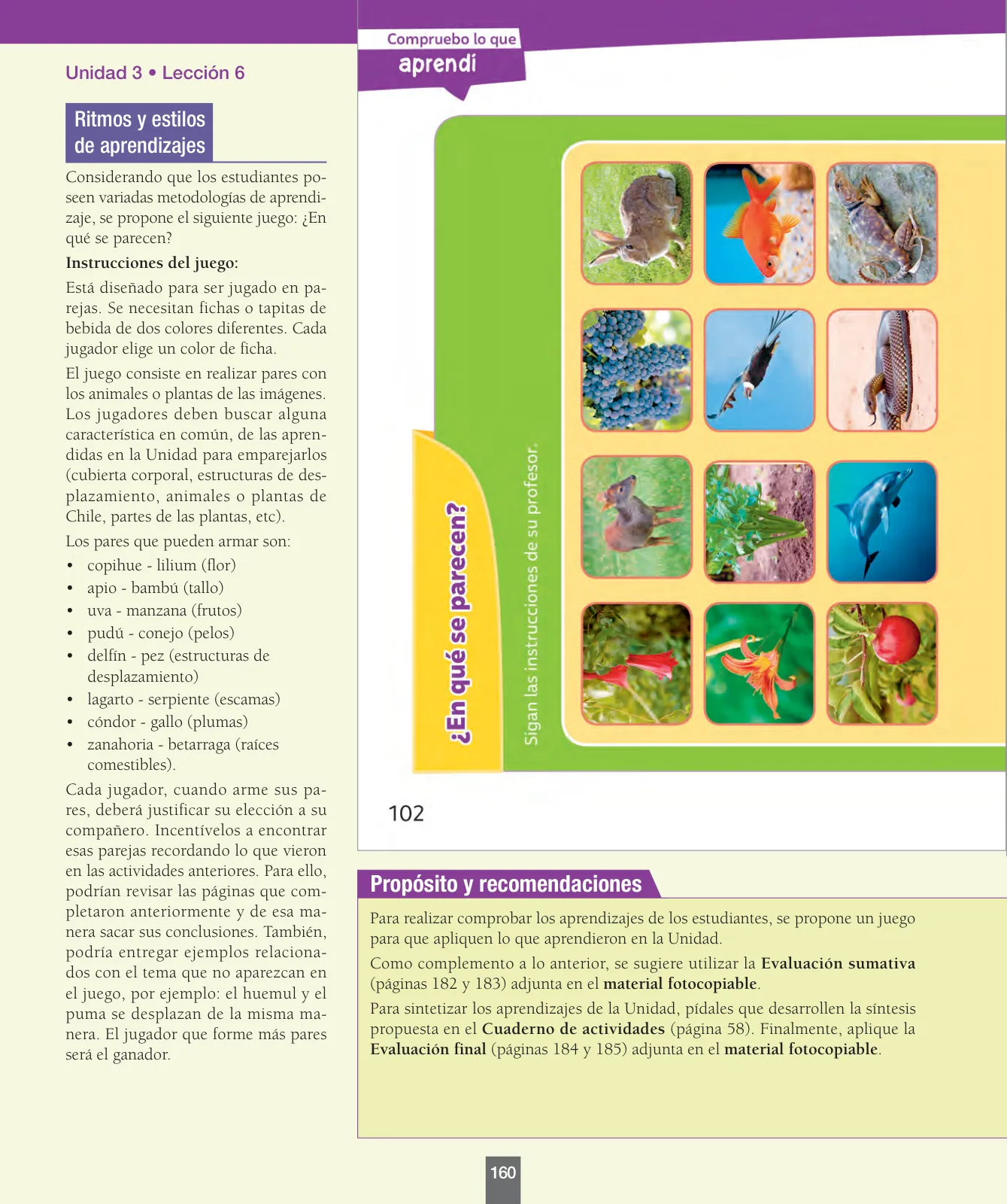 Página 161 de Ciencias Naturales – Primero Básico | Texto del Estudiante (MINEDUC) – Descargar PDF · 2024
