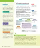 Miniatura página 103 de Historia, Geografía y Ciencias Sociales – Séptimo Básico | Texto del Estudiante MINEDUC – Descargar PDF · 2024