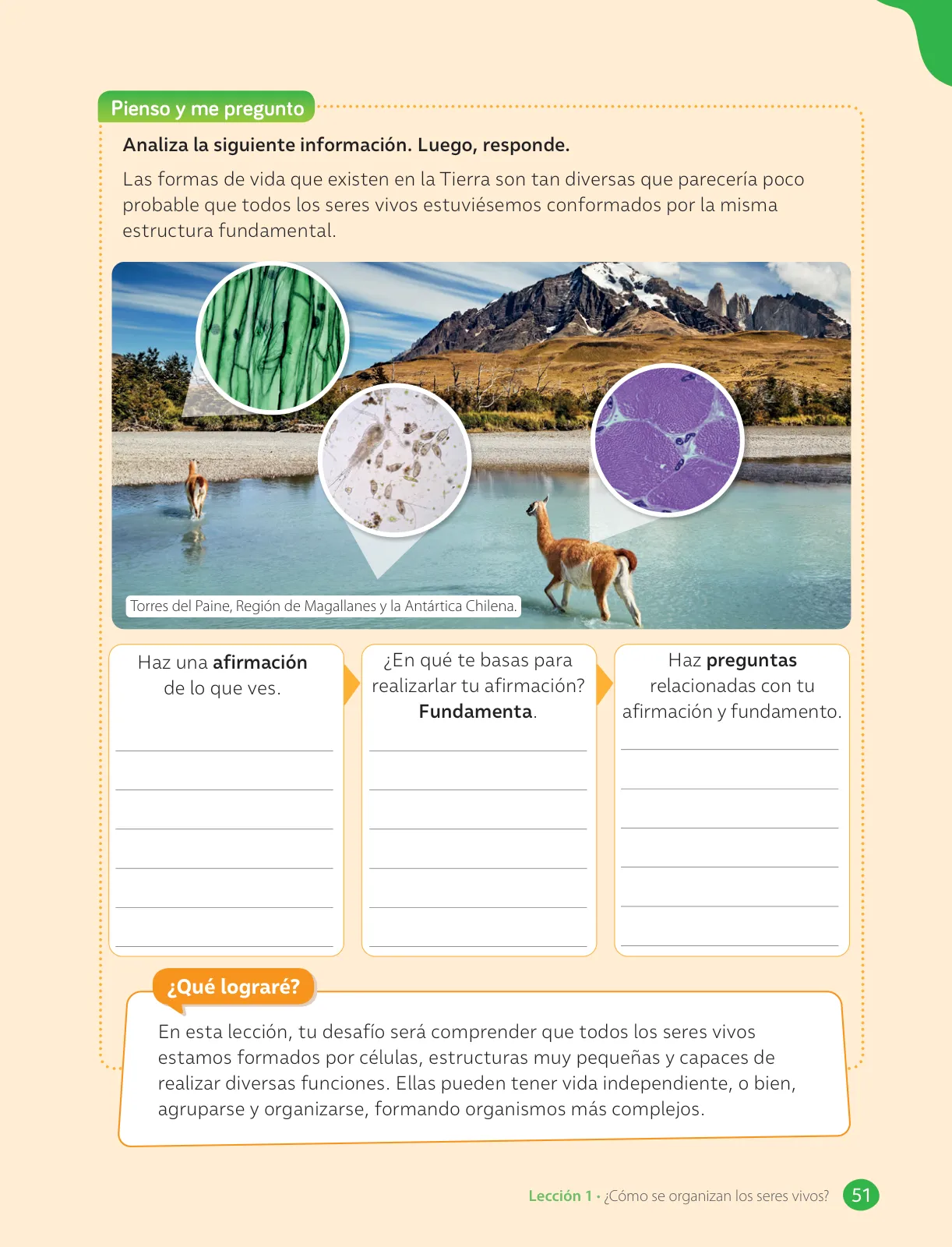 Miniatura página 53 de Libro de Ciencias Naturales – Quinto Básico | Texto del Estudiante MINEDUC – Descargar PDF · 2024
