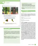 Miniatura página 49 de Sumo Primero – Cuarto Básico | Texto del Estudiante MINEDUC – Descargar PDF · 2024