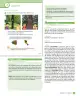 Miniatura página 49 de Sumo Primero – Cuarto Básico | Texto del Estudiante MINEDUC – Descargar PDF · 2024