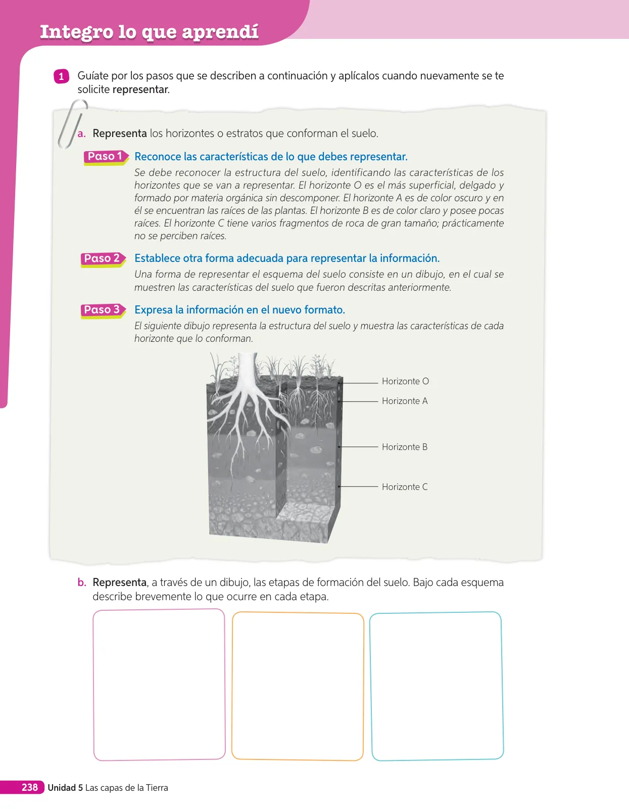 Página 189 de Libro de Ciencias Naturales – Quinto Básico | Texto del Estudiante MINEDUC – Descargar PDF · 2024