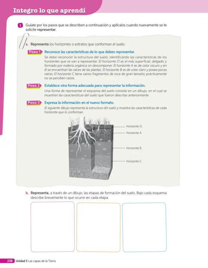 Página 189 de Libro de Ciencias Naturales – Quinto Básico | Texto del Estudiante MINEDUC – Descargar PDF · 2024