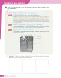 Miniatura página 189 de Libro de Ciencias Naturales – Quinto Básico | Texto del Estudiante MINEDUC – Descargar PDF · 2024