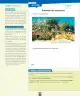 Miniatura página 99 de Ciencias Naturales – Primero Básico | Texto del Estudiante (MINEDUC) – Descargar PDF · 2024