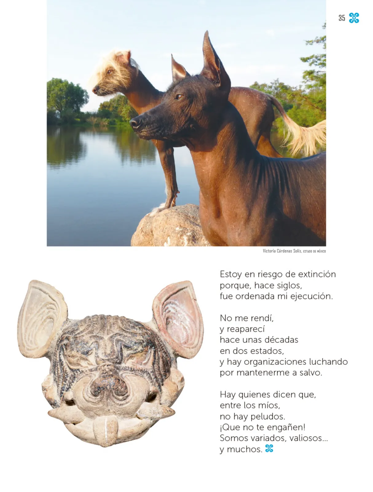 Página 36