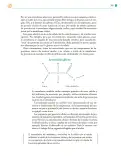 Miniatura página 246 de Colección Ximhai. Saberes y pensamiento científico.   Libro de Educación Telesecundaria Grado 1°  Ciclo Escolar 2025 - 2026