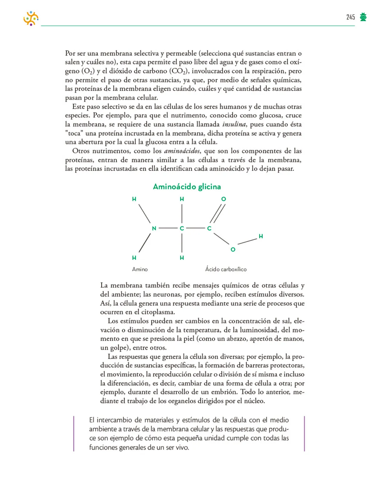 Miniatura página 246 de Colección Ximhai. Saberes y pensamiento científico.   Libro de Educación Telesecundaria Grado 1°  Ciclo Escolar 2025 - 2026