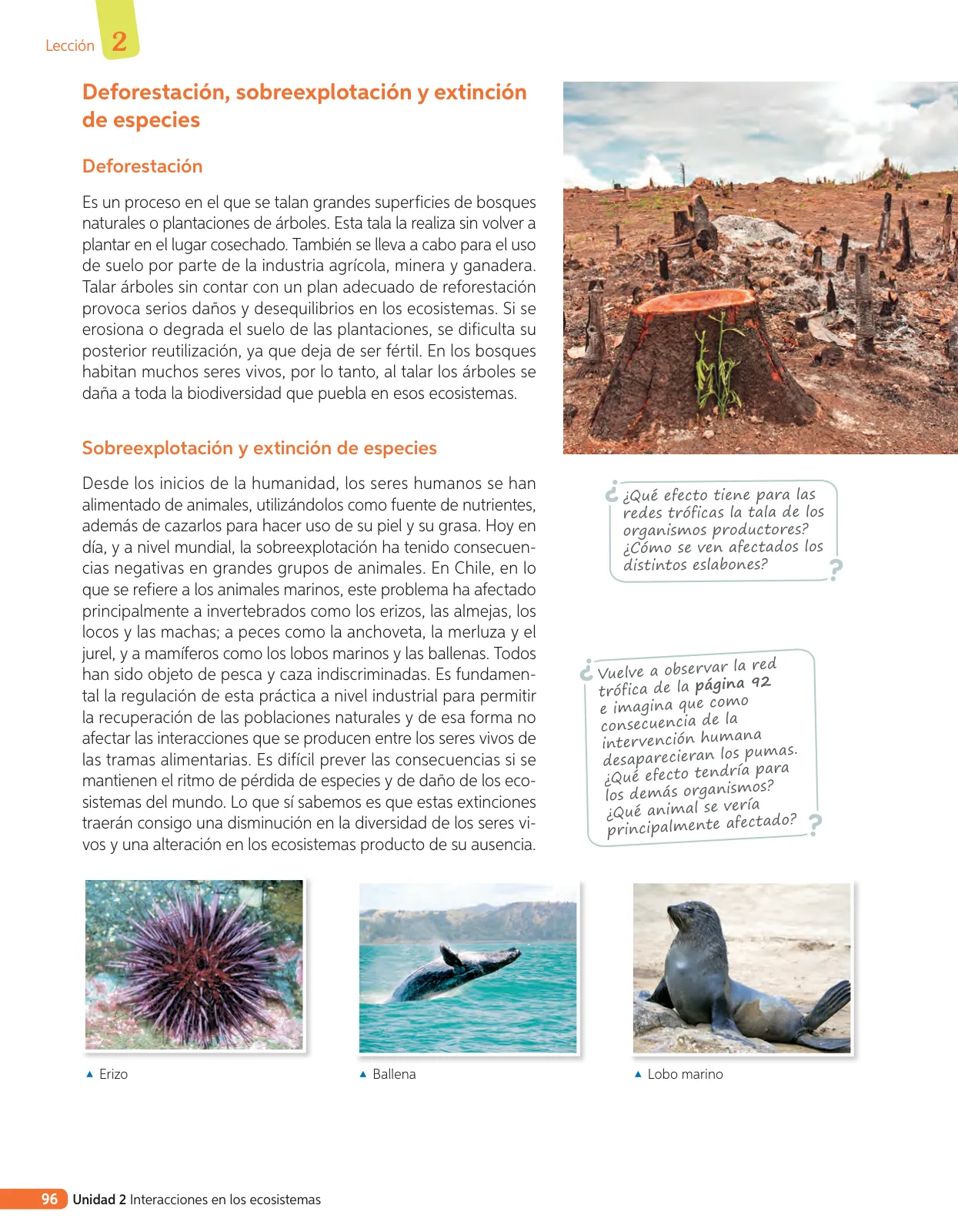 Miniatura página 215 de Libro de Ciencias Naturales – Quinto Básico | Texto del Estudiante MINEDUC – Descargar PDF · 2024