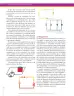 Miniatura página 210 de Ciencias Naturales 8° · Secundaria Activa