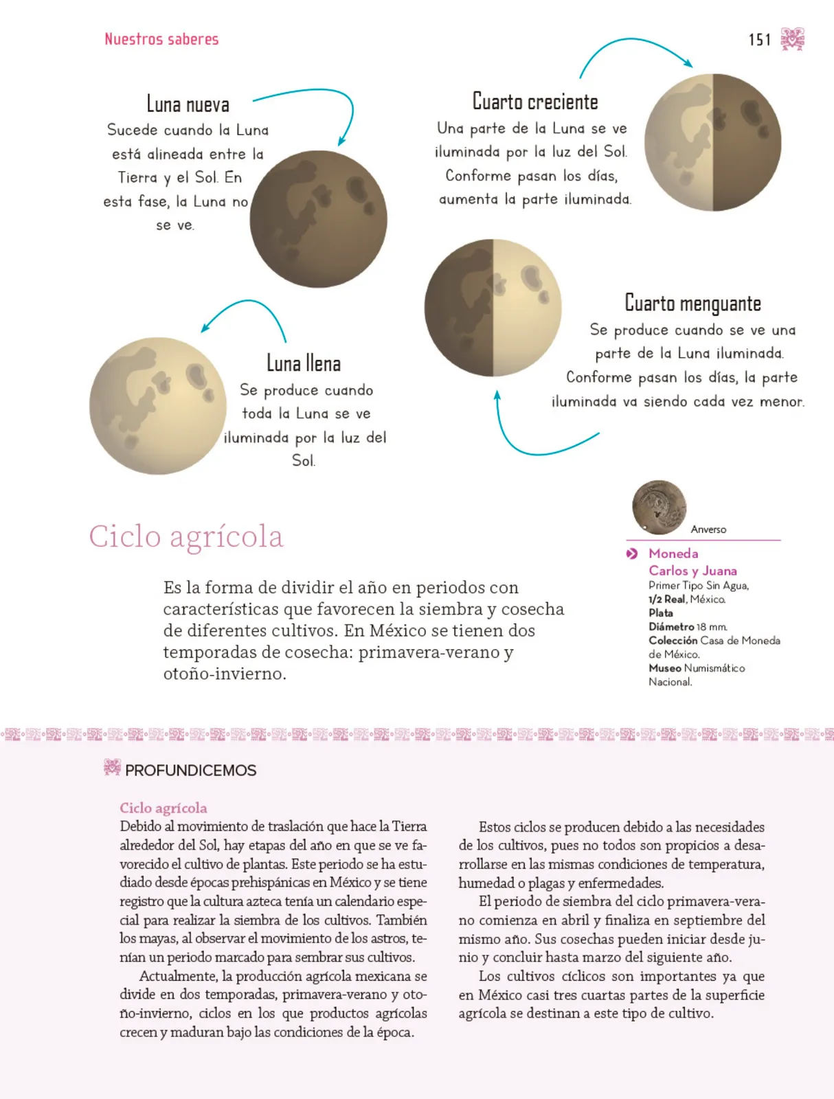 Miniatura página 152 de Nuestros saberes: Libro para alumnos, maestros y familia.   Libro de Educación Primaria Grado 3°  Ciclo Escolar 2025 - 2026