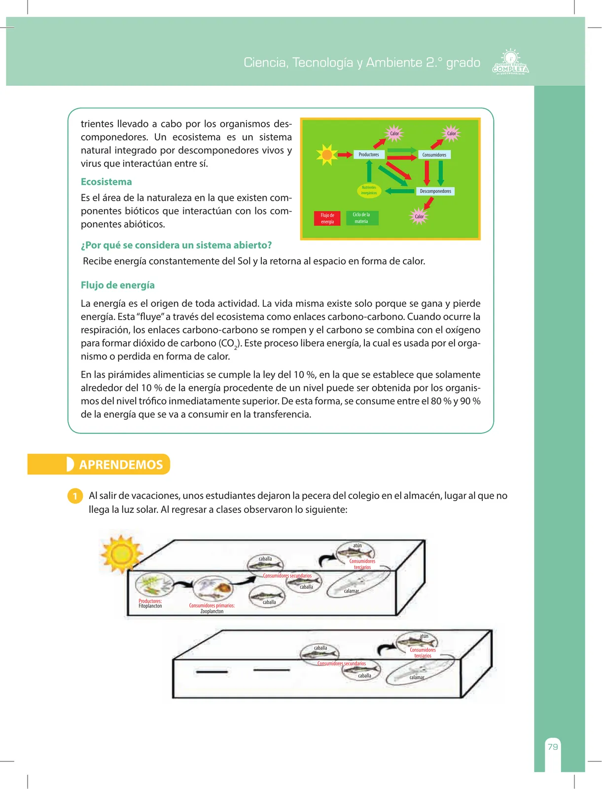 Página 79 de Ciencia, Tecnología y Ambiente 2 : cuaderno de reforzamiento pedagógico - JEC · 2016