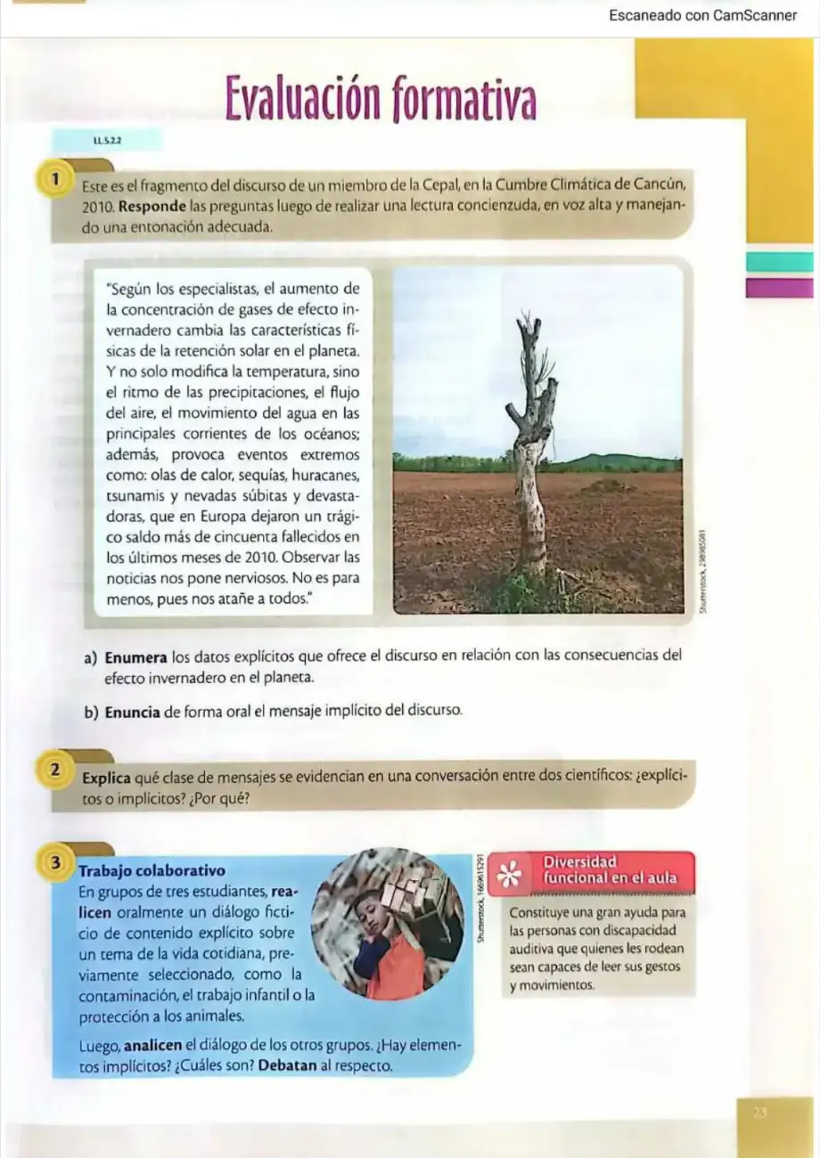 Página 20