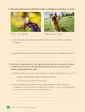 Miniatura página 88 de Ciencias Naturales – Tercero Básico | Texto del Estudiante MINEDUC – Descargar PDF · 2024
