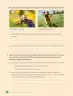 Miniatura página 88 de Ciencias Naturales – Tercero Básico | Texto del Estudiante MINEDUC – Descargar PDF · 2024