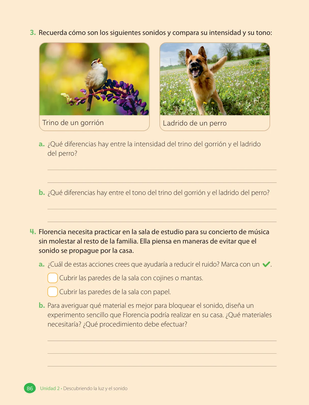 Miniatura página 88 de Ciencias Naturales – Tercero Básico | Texto del Estudiante MINEDUC – Descargar PDF · 2024
