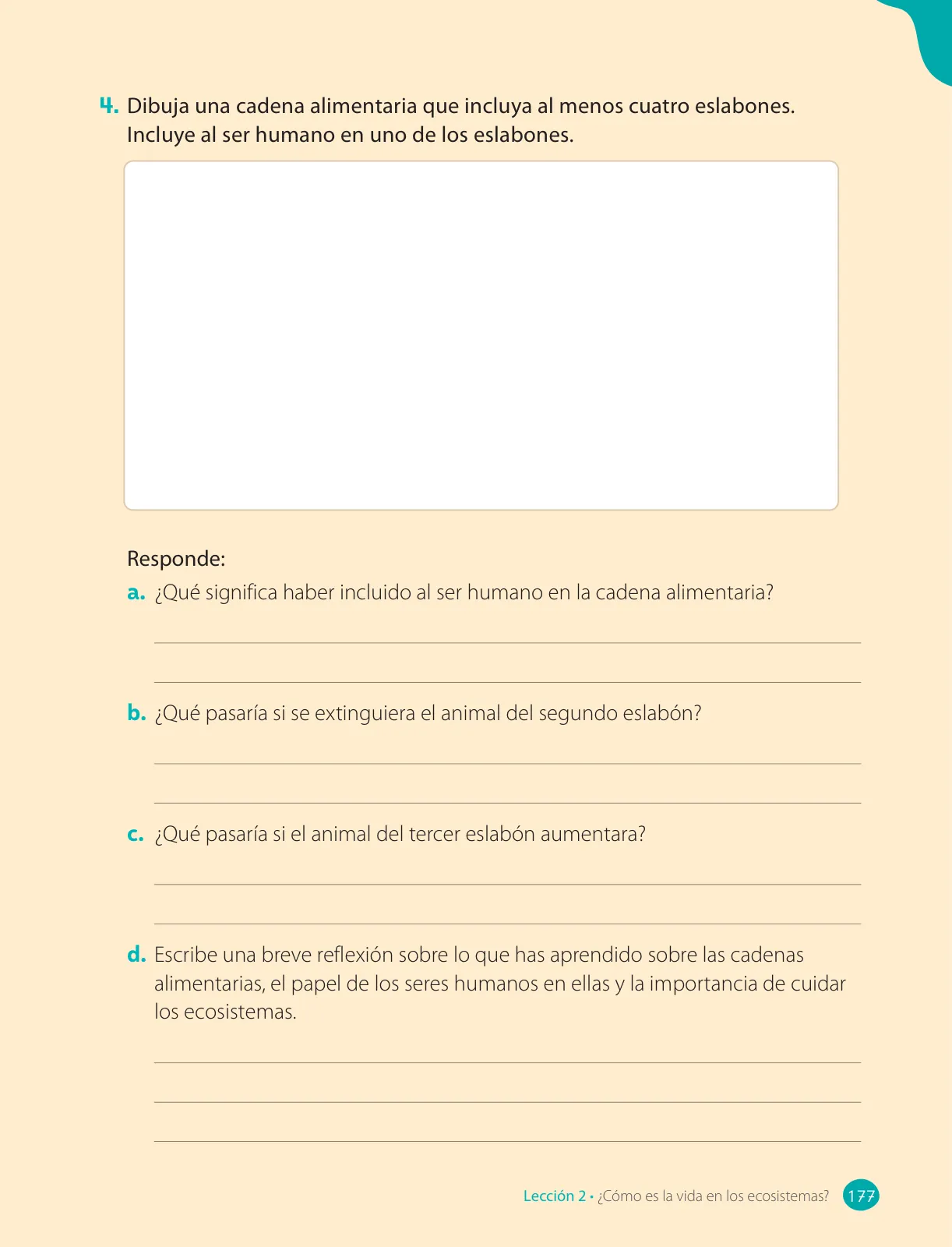 Miniatura página 179 de Ciencias Naturales – Cuarto Básico | Texto del Estudiante MINEDUC – Descargar PDF · 2024