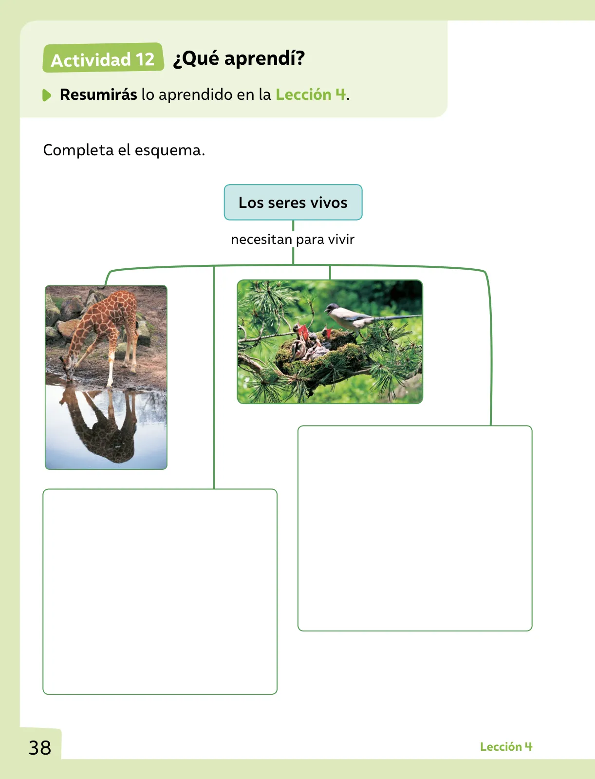 Página 39 de Ciencias Naturales – Primero Básico | Texto del Estudiante (MINEDUC) – Descargar PDF · 2024