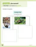 Miniatura página 39 de Ciencias Naturales – Primero Básico | Texto del Estudiante (MINEDUC) – Descargar PDF · 2024