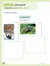 Miniatura página 39 de Ciencias Naturales – Primero Básico | Texto del Estudiante (MINEDUC) – Descargar PDF · 2024