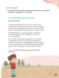 Miniatura página 13 de Lenguaje y Comunicación – Primero Básico | Texto del Estudiante MINEDUC – Descargar PDF · 2024
