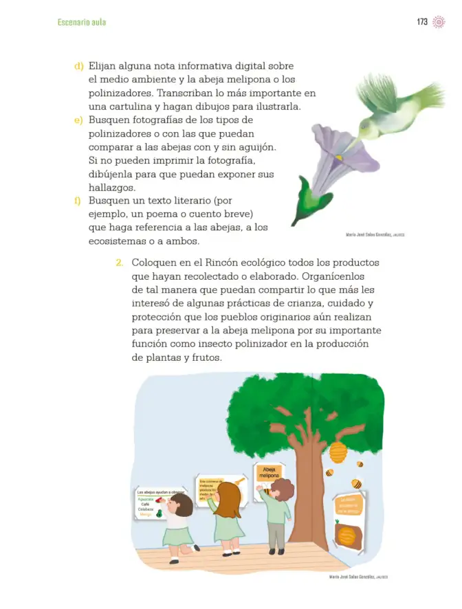 Página 176 de Proyectos de Aula. Libro de Educación Primaria Grado 3° Ciclo Escolar 2025 - 2026